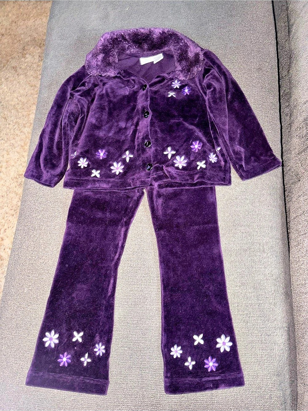 Green Dog Girls Purple Floral Velour Set Size 4T